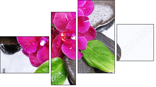 Composition with beautiful blooming orchid with water drops and - Four-piece canvas, Fortyk