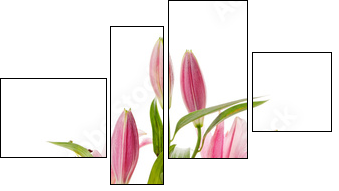 Pink lily - Four-piece canvas, Fortyk