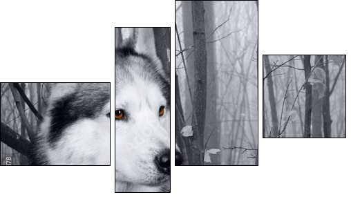 wolf in the woods - Four-piece canvas, Fortyk