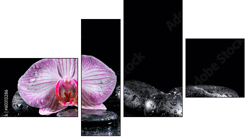 Orchid flower with zen stones on black background - Four-piece canvas, Fortyk