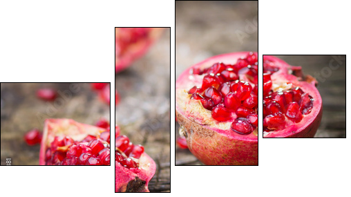 Pomegranate - Four-piece canvas, Fortyk