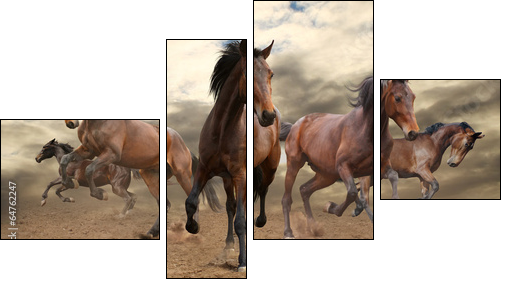 five indomitable bay horse galloping - Four-piece canvas, Fortyk