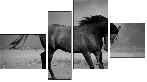 Galloping black horse - Four-piece canvas, Fortyk