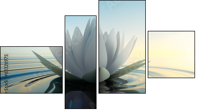 LotusblÃ¼te im See - Four-piece canvas, Fortyk