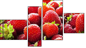 Strawberry panorama. - Four-piece canvas, Fortyk