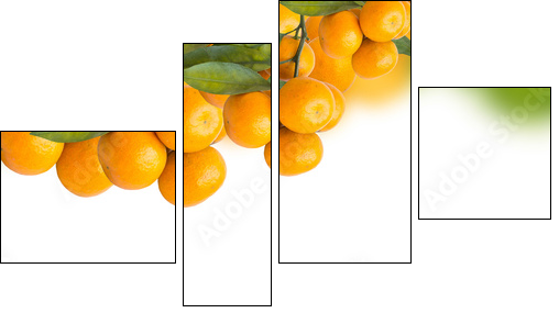 tangerine trees - Four-piece canvas, Fortyk