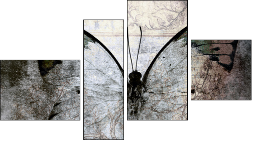 butterfly - Four-piece canvas, Fortyk
