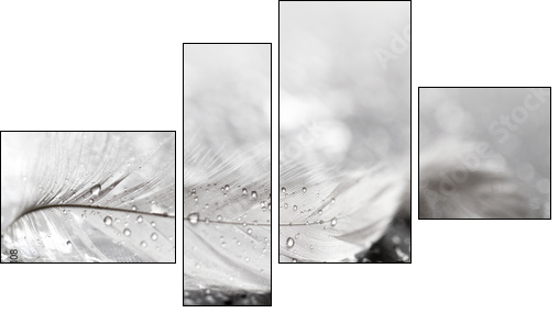 White feather with water drops - Four-piece canvas, Fortyk