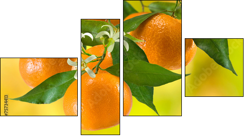 ripe tangerine on a yellow background - Four-piece canvas, Fortyk