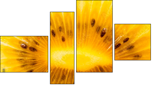 Yellow kiwi fruit on a white background - Four-piece canvas, Fortyk