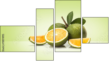 Green sweet oranges fruit - Four-piece canvas, Fortyk