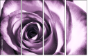 11865044