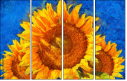 121341764