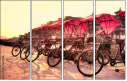 16482006