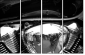 23943904