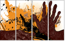 24093537