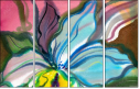 24717033