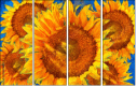 256376669