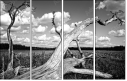 26523822