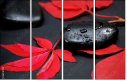 26741750
