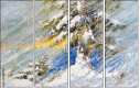 30493090