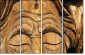 35042971