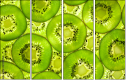 39788050