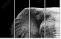 46583459