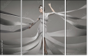 47917557