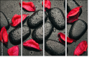 49357610