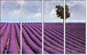 5101638