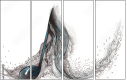 51554191