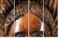 52004103