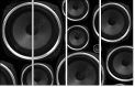56799314
