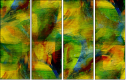 58509769