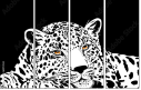 60173514