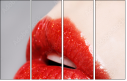 60543232