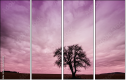 65457825