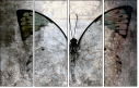 73878760