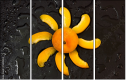 76101824