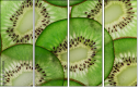 78577804