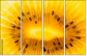 78671231