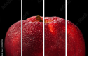 78900295