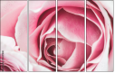 95247840
