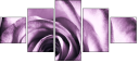 11865044