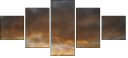 12581397