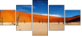 12976313
