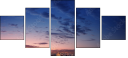 16069076
