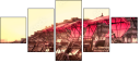 16482006