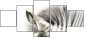 17246984